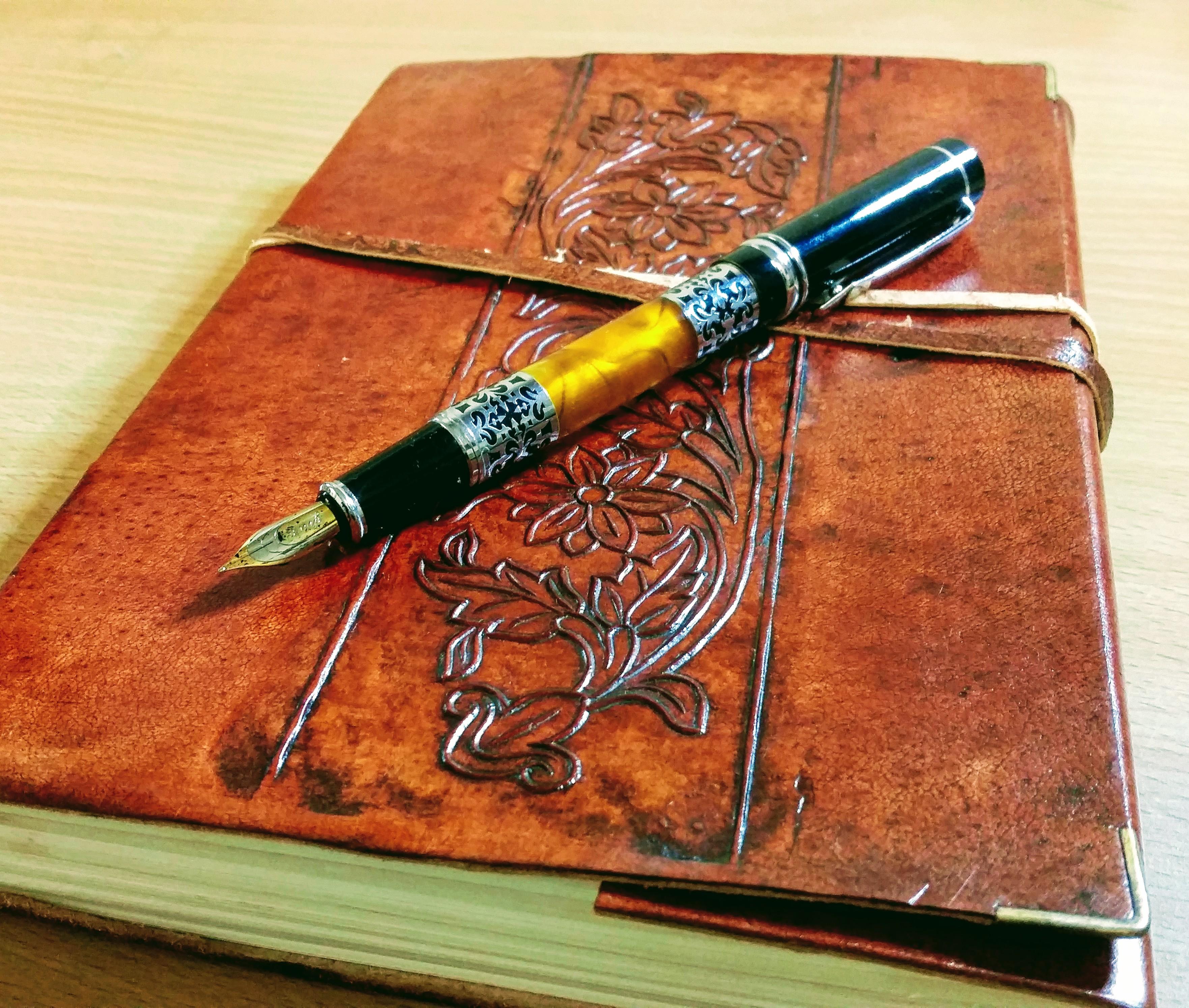 fountain pen journal 1
